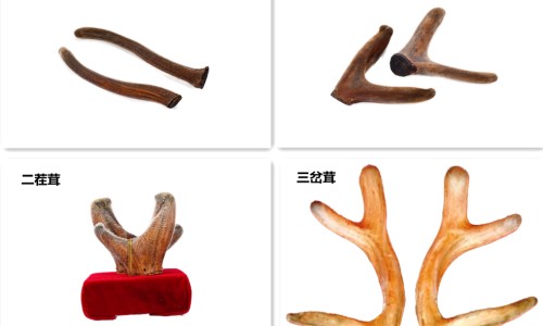 肺不好会引起脚杆酸疼吗-肺不好会引起脚网 :分享肺不好会引起脚站不住的症状吗-肺不好会引起脚气吗知识