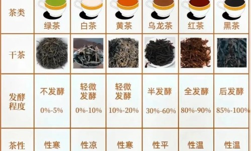肺不好会引起脚肿吗怎么治疗-肺不好会引起脚网 :分享肺不好会引起脚站不住的症状吗-肺不好会引起脚气吗知识